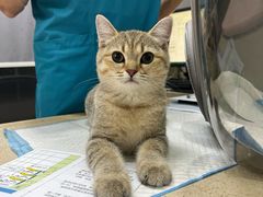 -宠颐生嘉德动物医院