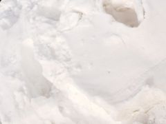 -大冬树山垭口