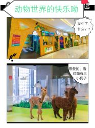 -七巧国萌宠乐园(龙湖天街店)