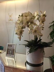 -TIME SPA科技美肤机构