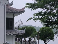 -大塘金香草谷