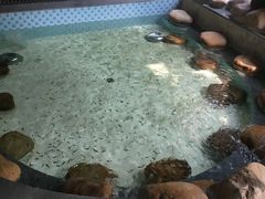 -御池园(顾村公园店)