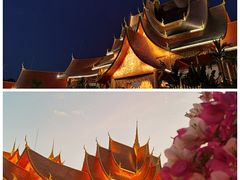 -曼听御花园