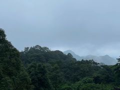 -青城山