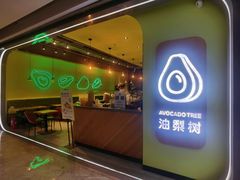 -油梨树AVOCADO TREE(望京店)