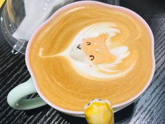 -逗柴咖啡屋·狗咖猫咖宠物桌游
