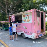 海鸥岛游啊游