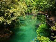 -三峡人家风景区