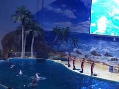 -福州罗源湾海洋世界旅游区