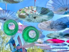 -厦门园林博览苑