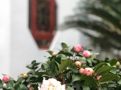 -南岳大庙