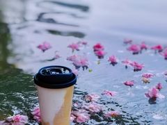 -Beans Solo豆号咖啡(百家湖花园店)