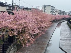-京都御所
