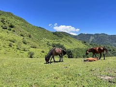 -阿坝州汶川特别旅游区