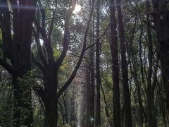 -同里国家湿地公园