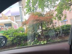 -南通濠河风景名胜区