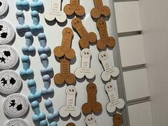 -冰岛阴茎博物馆