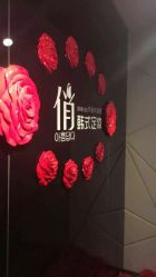 -HQ半永久纹绣纹眉