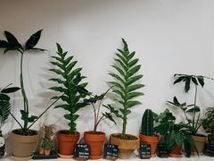 -花点时间(蓝色港湾店)