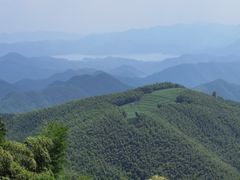 -莫干山风景区