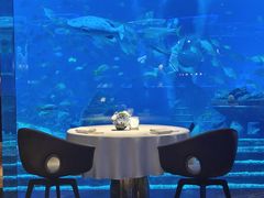 -亚特兰蒂斯•OSSIANO奥西亚诺海底餐厅