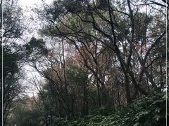 -虞山城墙
