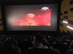 -星河国际影城(新会店)