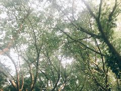 景点-南国桃园旅游度假区