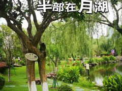 -月湖公园