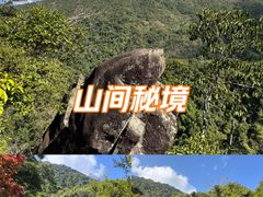-霸王岭国家森林公园