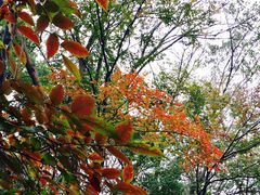 -春兰国宾馆(凤城河风景区老街店)