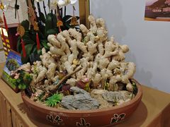 -圆苑(静安寺店)