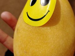 -聚家乐生鲜超市(枫林路店)