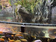 -太平洋海底世界