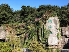 -梧桐山风景名胜区