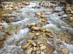 -姑婆山旅游区