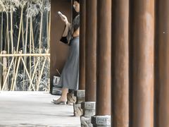 -洛阳白马寺