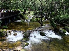 -牛背梁国家森林公园