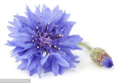 -J Eleven型人坊旗舰店