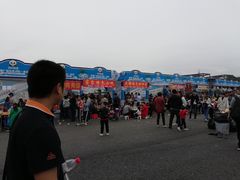 景点-成都大熊猫繁育研究基地