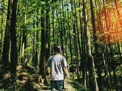 -山王坪喀斯特国家生态公园