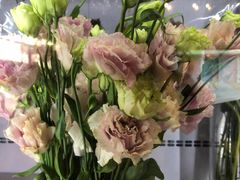 -格蕾花坊(民盈·国贸城店)