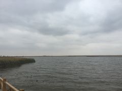 -哈素海