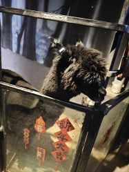 -酷嗒动物文化乐园(cutezoo西溪乐天城店)