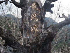 -龙湾潭国家森林公园