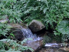 -秦岭风景区
