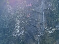 -霸王岭国家森林公园