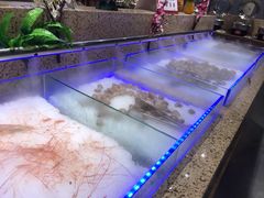 -和谐号(全运路万达店)