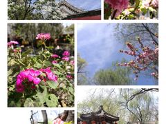 -白家大院·王府宫廷菜(苏州街店)