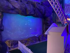 -烟台海昌鲸鲨海洋公园